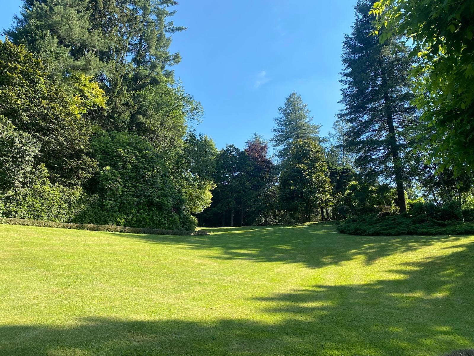 Il giardino, il prato