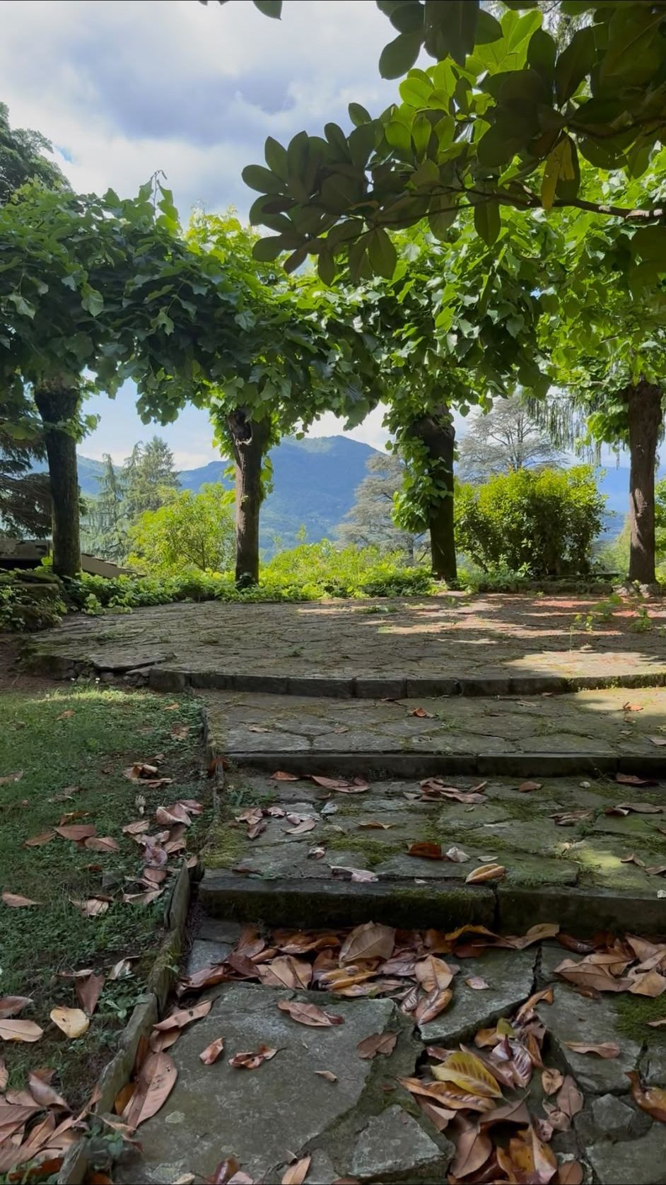 Il giardino, vista sulle montagne