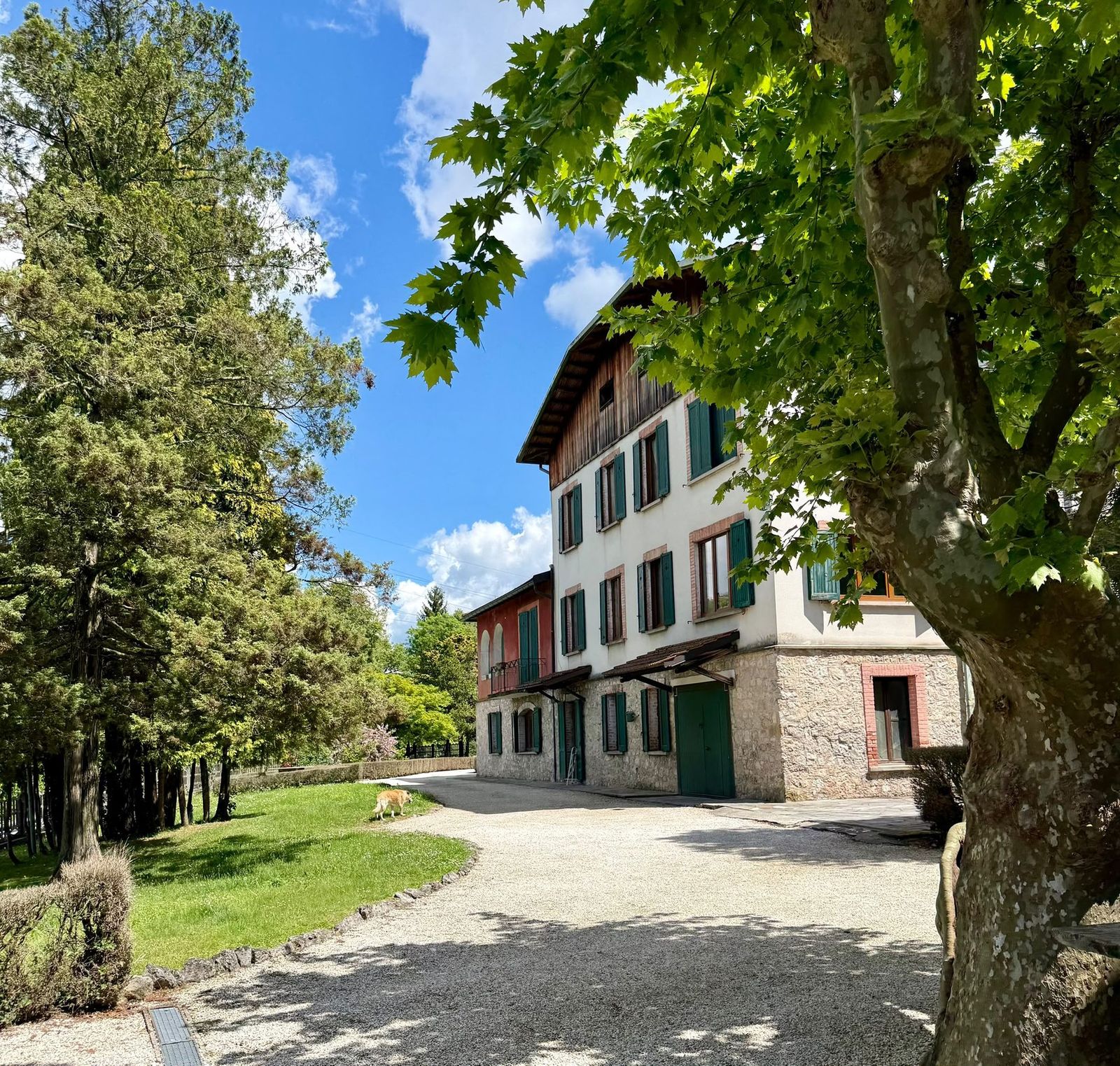 Villa Mussi tra gli alberi del giardino